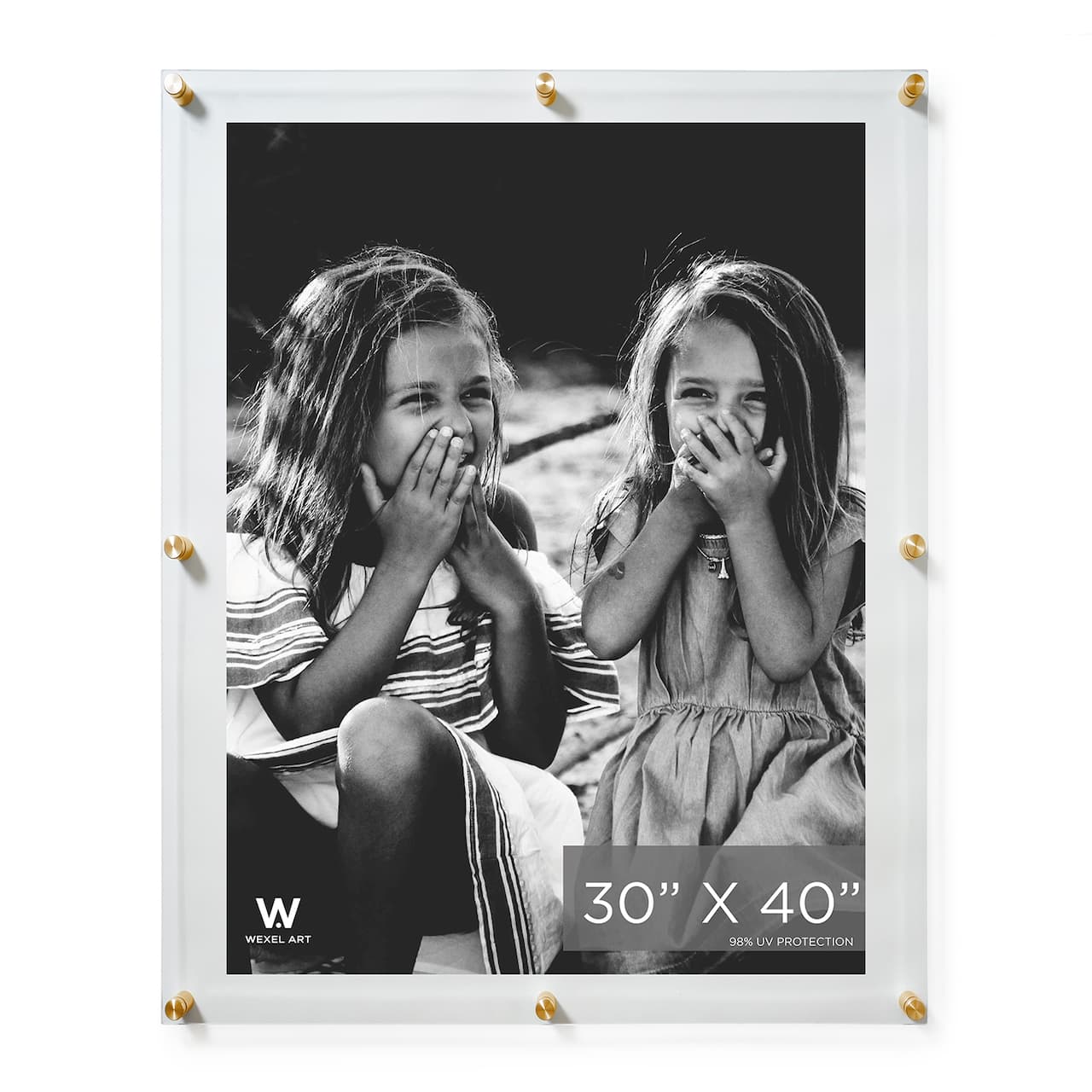 Wexel Art Double Panel Clear Acrylic Floating Wall Frame with Gold Hardware